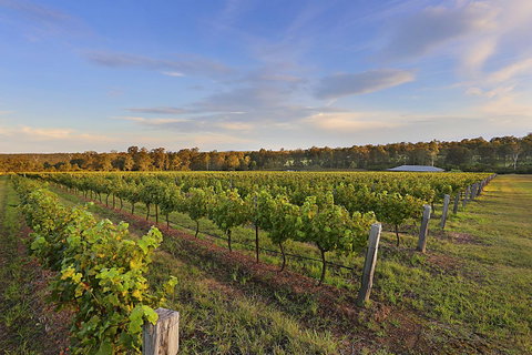 Ironstone Estate Lovedale - Accommodation Cooktown 31