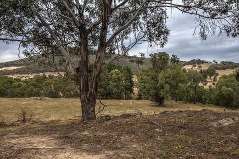 Pound Creek Gallery - Accommodation Cooktown 29