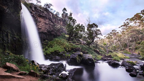 Pound Creek Gallery - Accommodation Cooktown 14