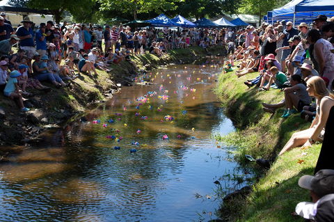 Pound Creek Gallery - Accommodation Cooktown 15