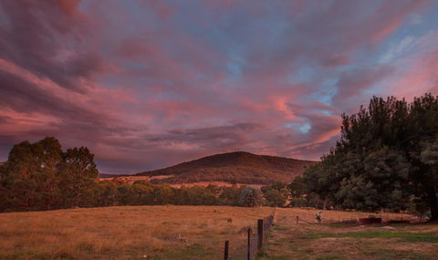 Pound Creek Gallery - Accommodation Cooktown 28