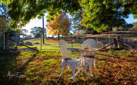 Pound Creek Gallery - Accommodation Cooktown 27