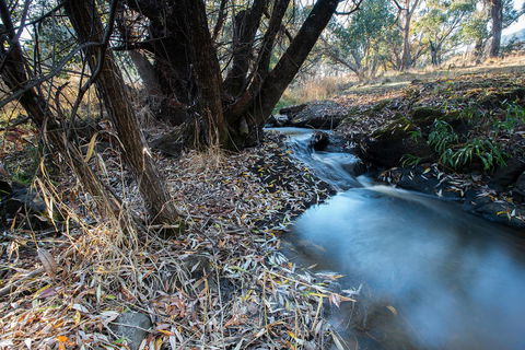 Pound Creek Gallery - Accommodation Cooktown 26