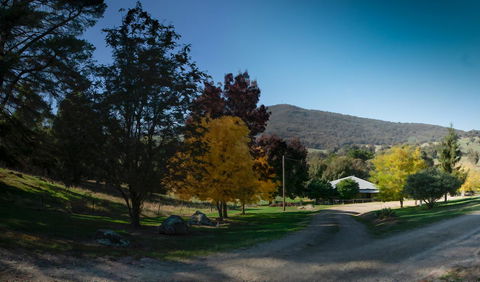 Pound Creek Gallery - Accommodation Cooktown 7