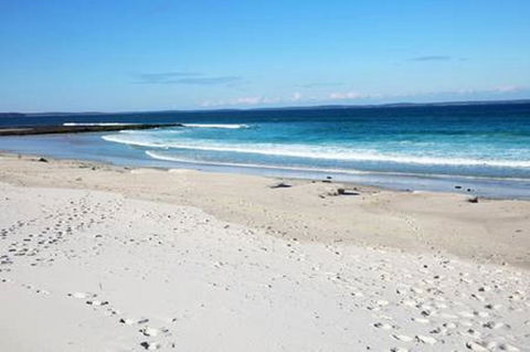 Jervis Bay Beach Shack I Pet Friendly - Accommodation Cooktown 16