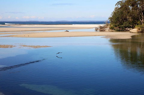 Jervis Bay Beach Shack I Pet Friendly - Accommodation Cooktown 19