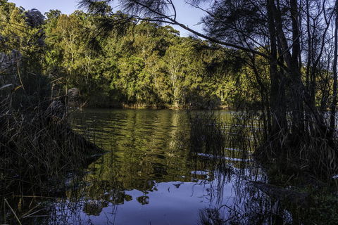 The Outlook Cabana - Accommodation Cooktown 21