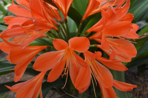 JE Guesthouse, Central To All The Hunter Valley Has To Offer - Accommodation Cooktown 39