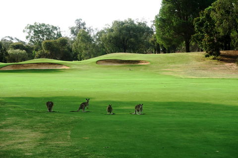 Mulwala Resort - Accommodation Cooktown 40