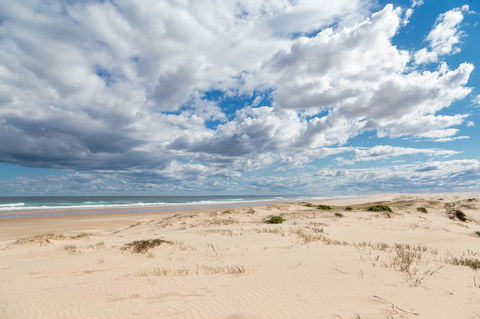 Birubi Beach Holiday Park - Accommodation Cooktown 37