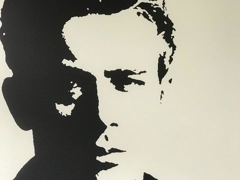 Woollahra Gem, Spectacular Views And Garden Paradise - Accommodation Cooktown 16