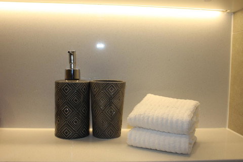 Stunning Views Sydney Olympic Park - Accommodation Cooktown 24