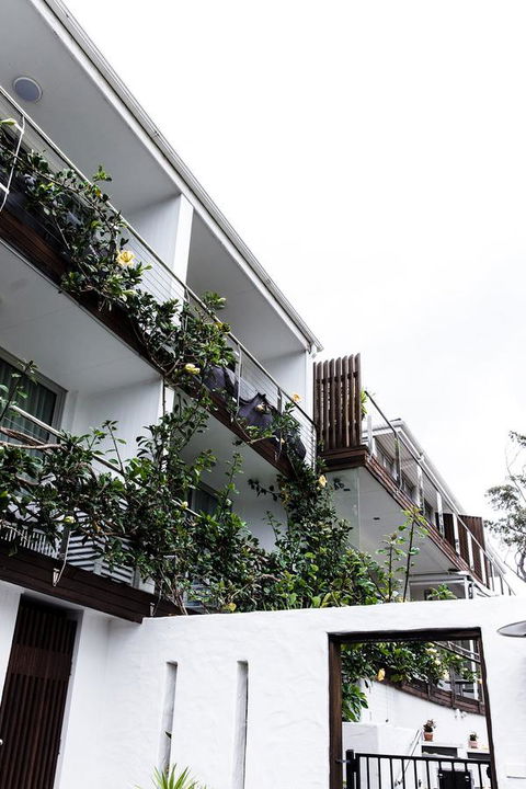 Bannisters By The Sea Mollymook - Accommodation Cooktown 4