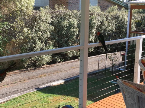 The Best Exotic Magnolia Cottage - Accommodation Cooktown 15