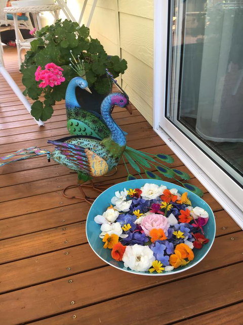 The Best Exotic Magnolia Cottage - Accommodation Cooktown 8