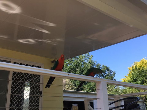 The Best Exotic Magnolia Cottage - Accommodation Cooktown 11