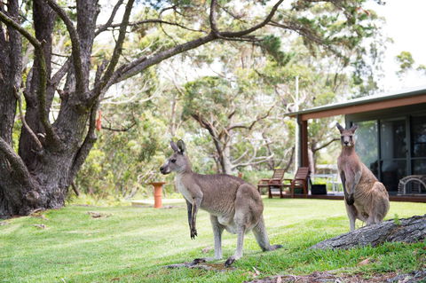 By The Beach B&B Self Contained Apartments - Accommodation Cooktown 17