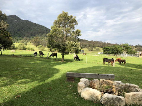 Arcadia - The Barn Cottage & Rosehill Cottage - Accommodation Cooktown 29