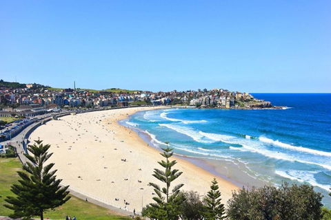 Right On Bondi - Accommodation Cooktown 13
