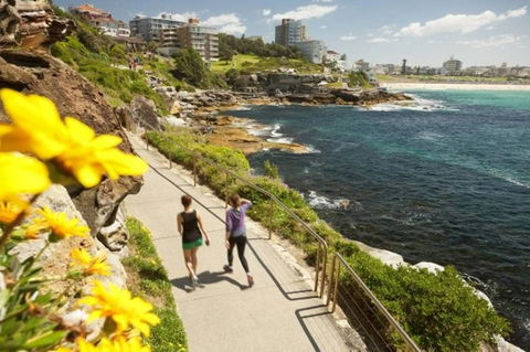 Right On Bondi - Accommodation Cooktown 11
