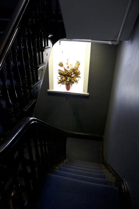 Bayswater Boutique Lodge - Accommodation Cooktown 24