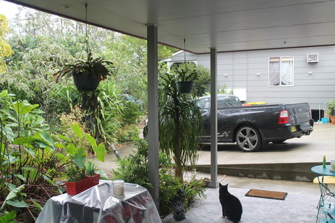 Ducati\'s B And B - Accommodation Cooktown 7