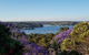 Private Room - Luxury Mosman Home - thumb 1