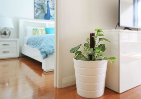 Sydney Apartment Close To Airport & CBD - Accommodation Cooktown 7