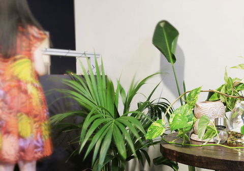 Sydney Apartment Close To Airport & CBD - Accommodation Cooktown 13