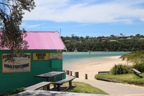 Beaches Apartments Merimbula - Accommodation Cooktown 12