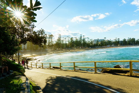 Lotus Stay Manly - Apartment 29B - Accommodation Cooktown 7