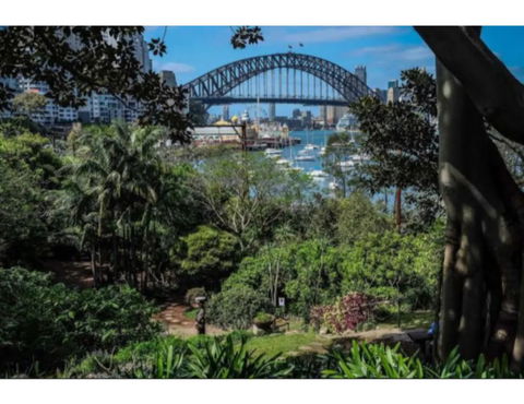 North Sydney Historic Whalers Cottage - Accommodation Cooktown 12