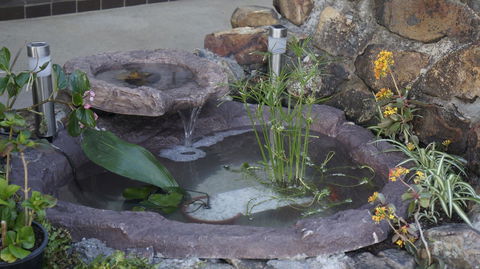 Highway Motor Inn Taree - Accommodation Cooktown 41