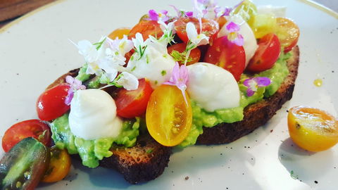 Hotel Indigo Sydney Potts Point, An IHG Hotel - Accommodation Cooktown 12