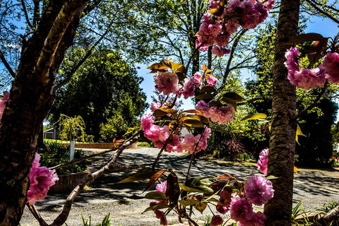 Bundanoon Lodge - Accommodation Cooktown 3