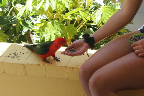 Bundanoon Lodge - Accommodation Cooktown 4