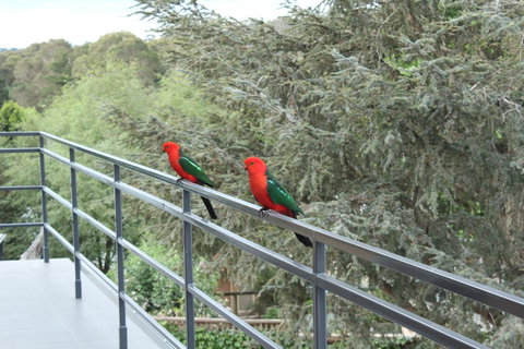 Bundanoon Lodge - Accommodation Cooktown 7