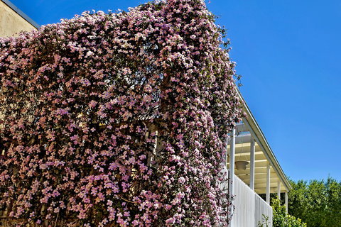 Bundanoon Lodge - Accommodation Cooktown 13