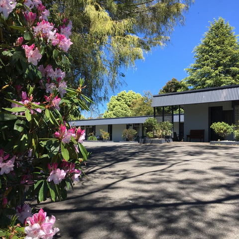 Sky Rider Motor Inn - Accommodation Cooktown 14