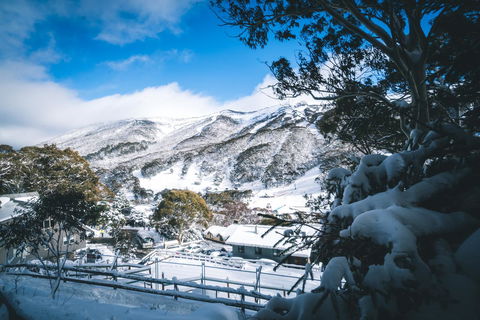 Pure Chalet Thredbo - Accommodation Cooktown 31