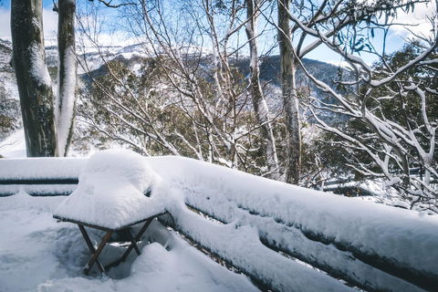 Pure Chalet Thredbo - Accommodation Cooktown 19