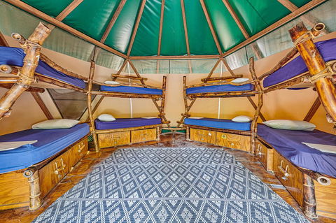 Arts Factory By Nomads - Accommodation Cooktown 4