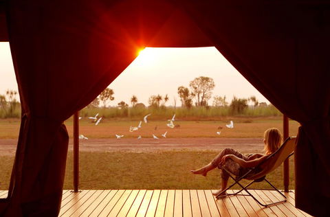 Wildman Wilderness Lodge - Accommodation Cooktown 12