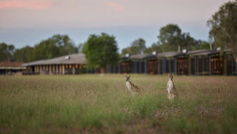 Wildman Wilderness Lodge - Accommodation Cooktown 0