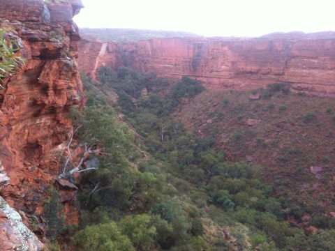 Discovery Resorts - Kings Canyon - Accommodation Cooktown 34