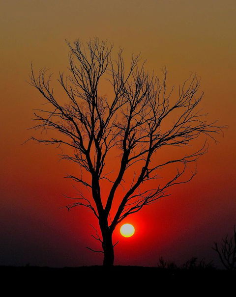 Discovery Resorts - Kings Canyon - Accommodation Cooktown 43