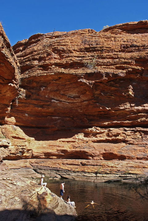 Discovery Resorts - Kings Canyon - Accommodation Cooktown 44