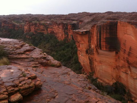 Discovery Resorts - Kings Canyon - Accommodation Cooktown 35