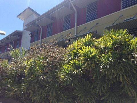 Melaleuca On Mitchell - Darwin YHA - Accommodation Cooktown 27