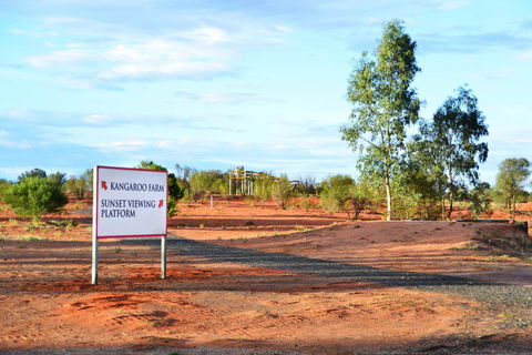 Erldunda Desert Oaks Resort - Accommodation Cooktown 28